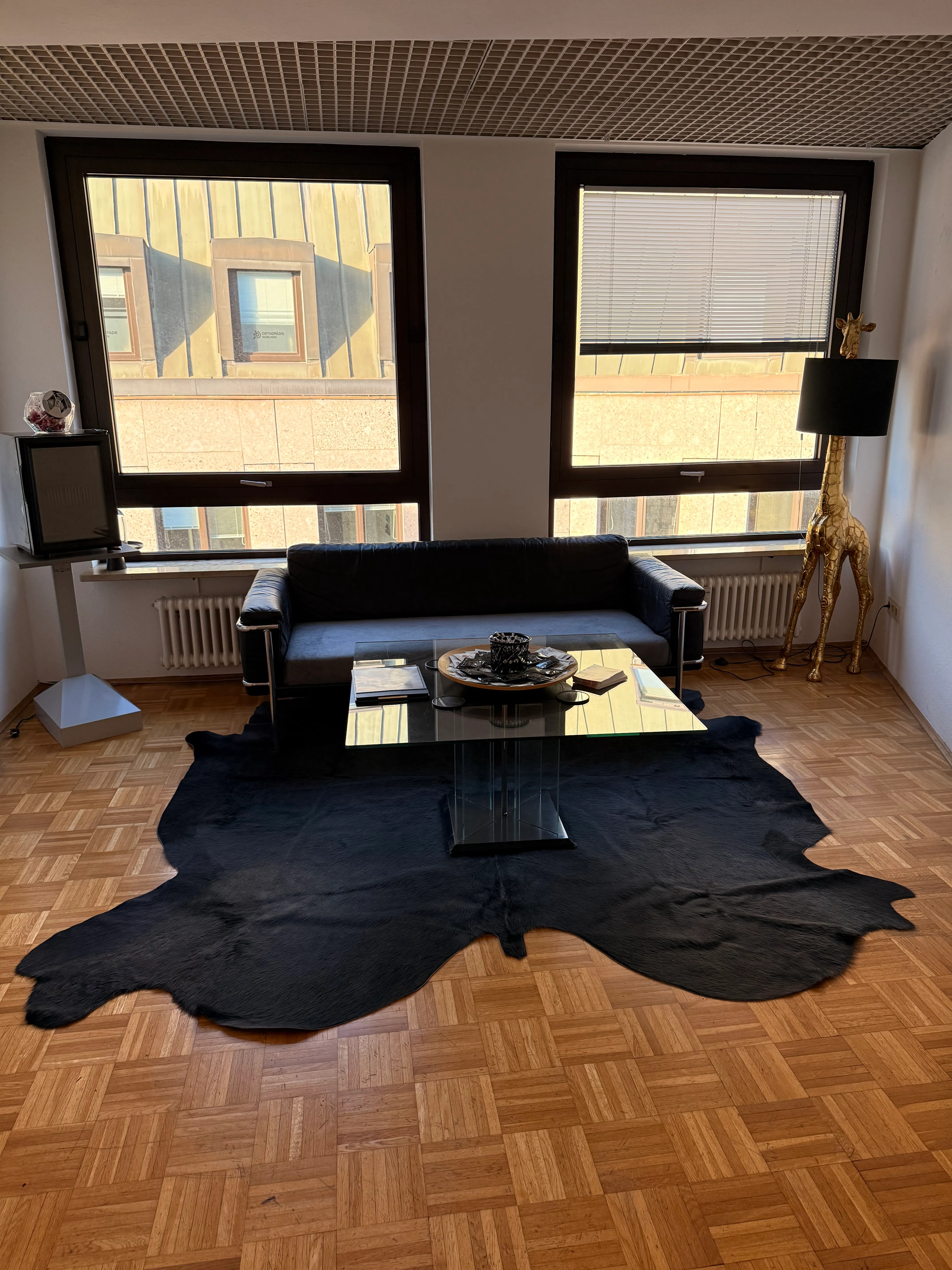 Private lounge area in the VIP room with sofa, record player and city view